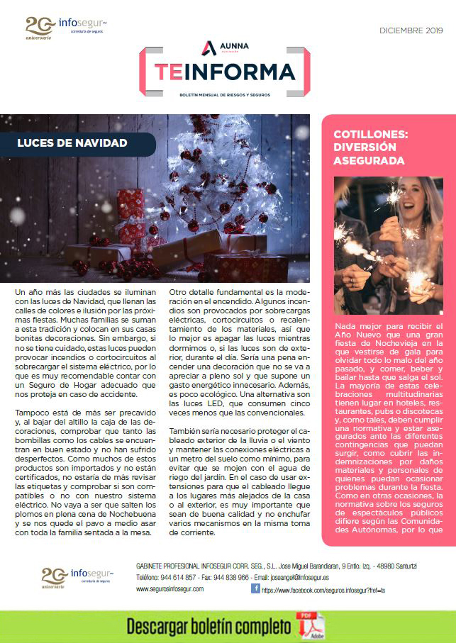 boletin-INFOSEGUR-teinforma-2019-diciembre