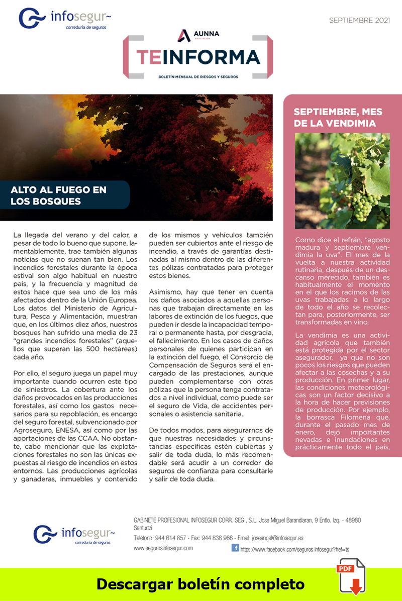 Plantilla_Boletín_PDF